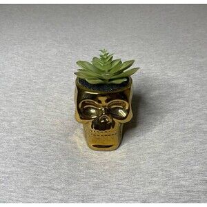 Flora Bunda Met Gold Skull Succulent Plant Desk Decor